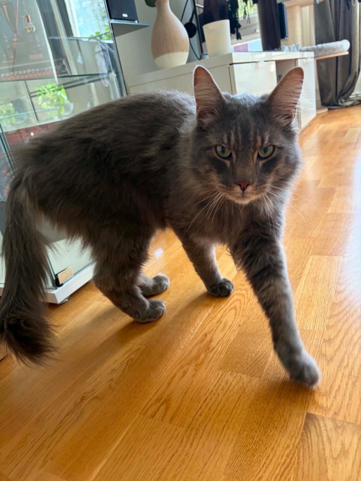 Curt – bild 1