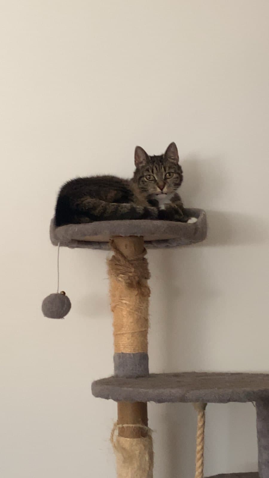 Clara – bild 1