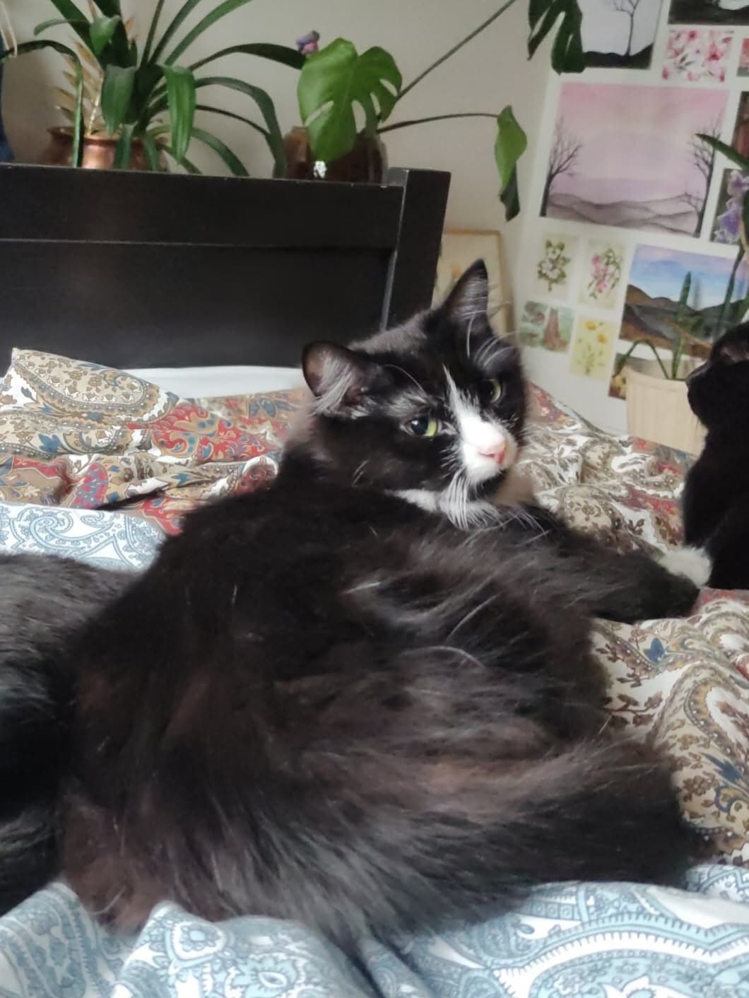 Nina – bild 1