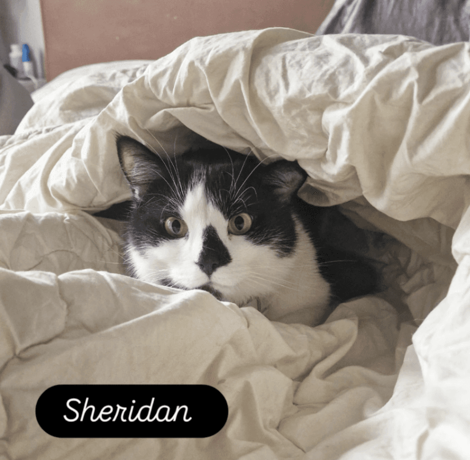 Sheridan – bild 1
