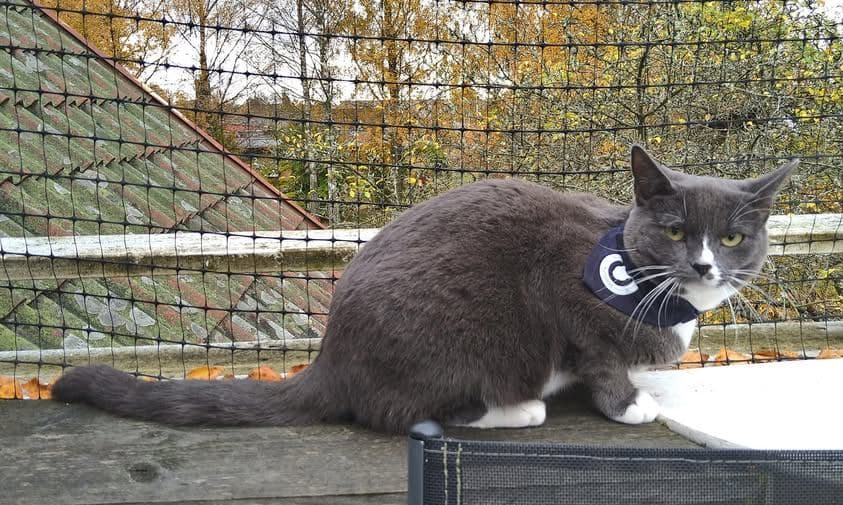 Rocky – bild 1