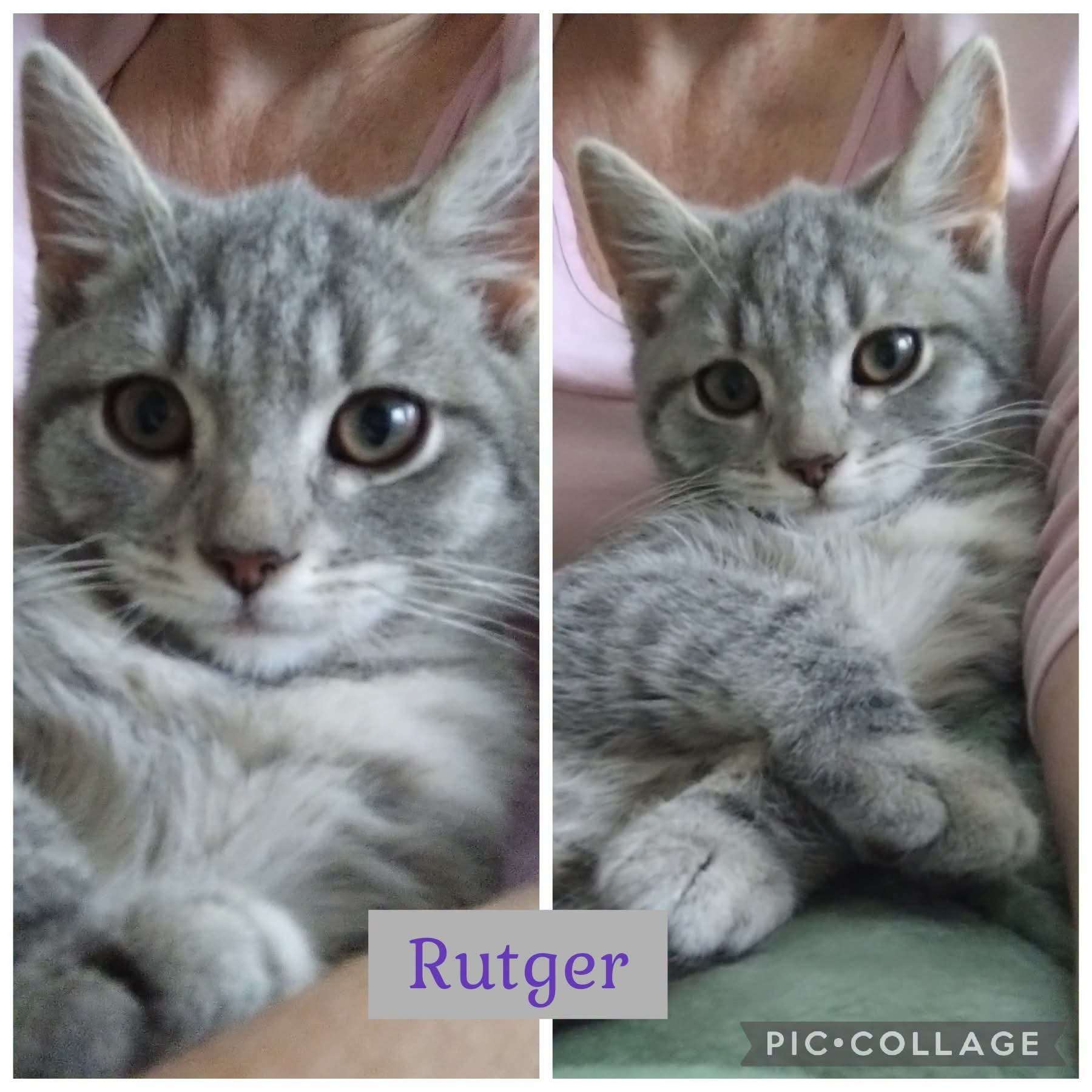 Rutger – bild 1