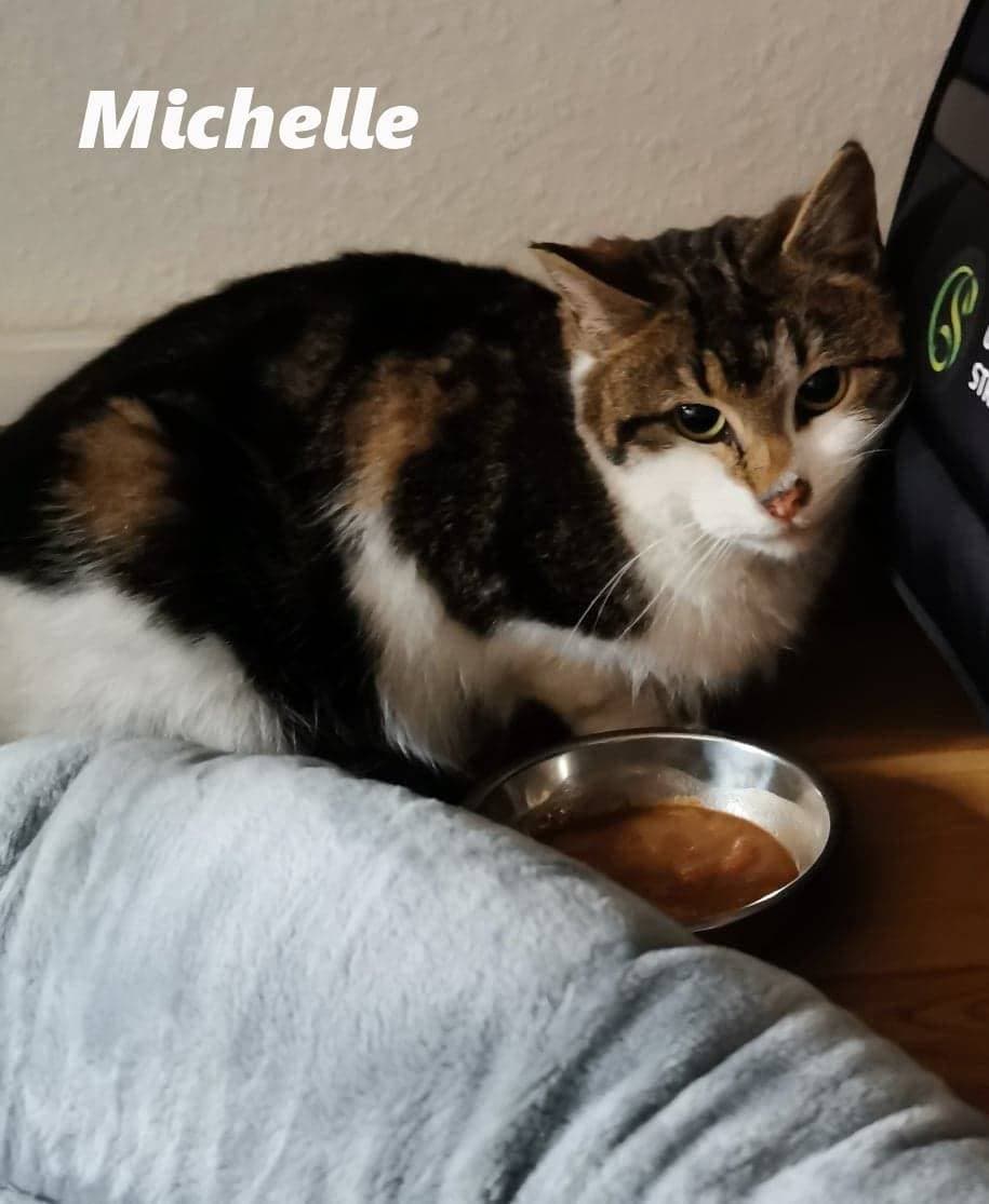 Michelle
